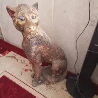 مجسه|مجسمه، تندیس، ماکت|زابل, |دیوار