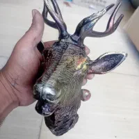 کله گوزن کلکسیونی