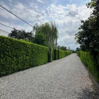 زمین ۲۰۰ متری شهرکی برند /سند تکبرگ داخل بافت|فروش زمین و ملک کلنگی|امامزاده عبدالله, |دیوار