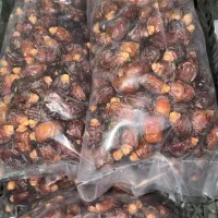 خرما|خوردنی و آشامیدنی|تهران, جمال‌زاده|دیوار