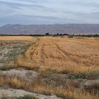 زمین معاوضه صنعتی/گلخانه/حاشیه کمربندی وجاده اخلمد|فروش زمین و ملک کلنگی|چناران, |دیوار