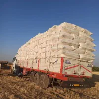 کاه گندم دیم|خدمات باغبانی و درختکاری|قیدار, |دیوار