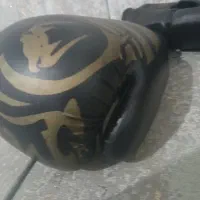 دستکش ونوم|تجهیزات ورزشی|شیراز, پودنک|دیوار