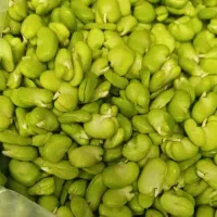 سبزی خردکنی ریحون|خوردنی و آشامیدنی|قدس, شهرقدس|دیوار