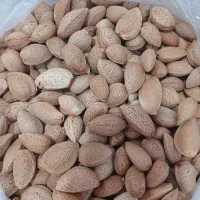 بادام امسالی ممتاز