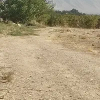 سلام زمین درشهرستان کوار جاده محموداباد|فروش زمین و ملک کلنگی|طسوج, |دیوار