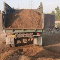 کود|خدمات باغبانی و درختکاری|دزفول, |دیوار