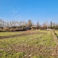 یک-هکتار-زمین-برای-گاوداری-و-مرغداری