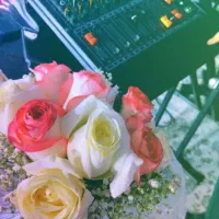 اجرای موسیقی زنده .ارگ.|خدمات پذیرایی، مراسم|زابل, |دیوار