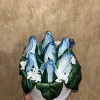 باکس گل شیک