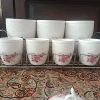 پاسماوری|ظروف نگهدارنده، پلاستیکی، یک‌بارمصرف|همدان, |دیوار