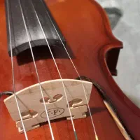 ویولن تی اف استیودنت (TF student)|ویولن|کرج, فاز ۳ گوهردشت|دیوار