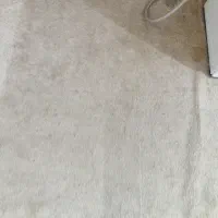 پالاز موکت کرمی