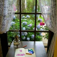 فروش خط موبایل رند