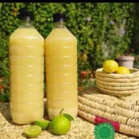 روغن زیتون و شیره خرما و رب انار و آبلیمو|خوردنی و آشامیدنی|بوشکان, |دیوار