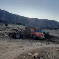 کود گوسفندی