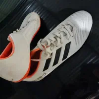 کتانی سالنی