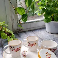 ظروف سرامیکی دست ساز