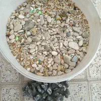 سنگ کف آکواریوم