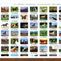 عکس های با کیفیت دیجیتالی|صوتی و تصویری|قزوین, |دیوار