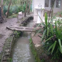 اجاره روزانه/هفتگی/ماهانه آپارتمان ۵۰ متری