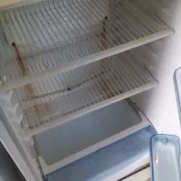 سمساری آسمانی|یخچال و فریزر|آران و بیدگل, |دیوار