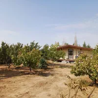 500م-سند-سهیلیه-زعفرانیه-باغ-مثمر-نگهبانی