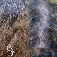 تتوبدن،فیبروزابرو،آرایش دائم،میکرواسکالپ سر،ریمو|خدمات آرایشگری و زیبایی|کرمانشاه, |دیوار