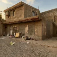 فروش گاوداری ۵۰راسی