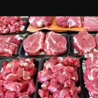 استخدام مدیر تولید شرکت بسته بندی مرغ و گوشت