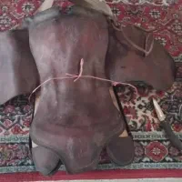 زین و دهنه سالم