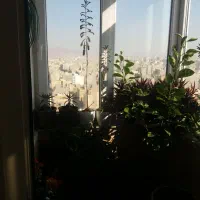 تعمیر درب وپنجره آلومینیومی وتوری درمحل