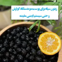 زیتون ویژه