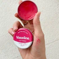 بالم لب|آرایشی، بهداشتی، درمانی|جلفا, |دیوار