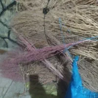 جارو/گسک چهارباقه یک میلیون