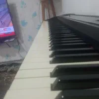 پیانو|پیانو، کیبورد، آکاردئون|مهاباد (آذربایجان غربی), |دیوار