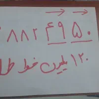 عالی عالی ارزان