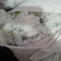 الیاف|رختخواب، بالش، پتو|پردیس, فاز ۸|دیوار