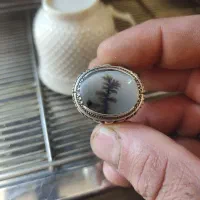 انگشتر شجر تک درخت|جواهرات|اصفهان, پوریای ولی|دیوار