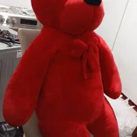 خرس بزرگ ۲ متری