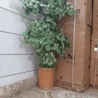 درختچه|گل مصنوعی|قم, نیروگاه|دیوار