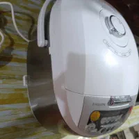 پلوپز فلیپس برقی