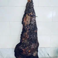 ساعت دیواری طرح تنه درخت کاج|ساعت دیواری و تزئینی|اصفهان, بوستان آینه خانه|دیوار