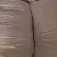 سبوس گندم