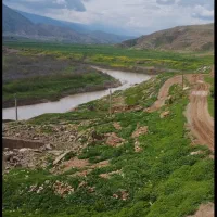 برنج (دوکابین)