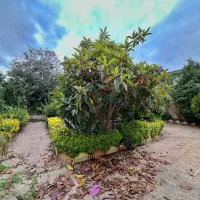 ویلا پارک ۵۲۰ متری سند ششدانگ بخر با ۳ پیش پرداخت