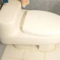 توالت فرنگی