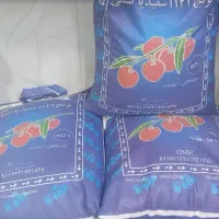 برنج پاکستانی۱۱۲۱