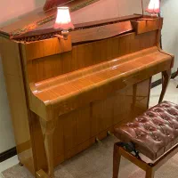 پیانو آکوستیک شیمل آباژور دار|پیانو، کیبورد، آکاردئون|تهران, ونک|دیوار