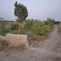 فروش باغچه ۱۰۰۰متری قابل تهاتر|فروش زمین و ملک کلنگی|نظرآباد, خسروآباد|دیوار